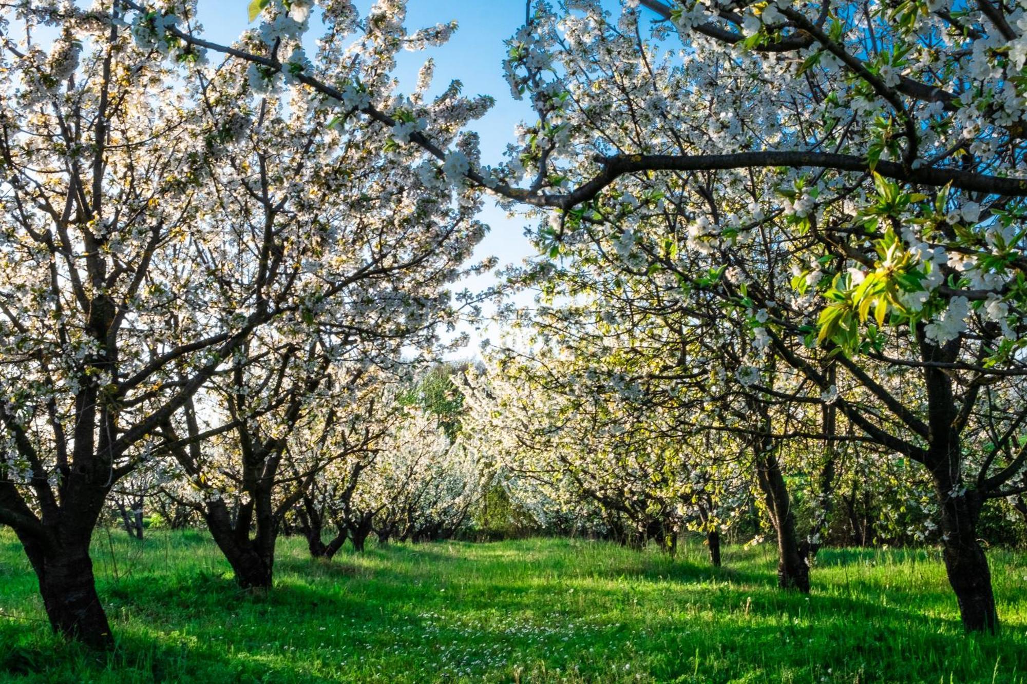 Monferrato Inn Rivarone Экстерьер фото